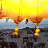 фото из отзыва ID 868793