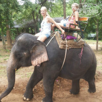 фото из отзыва ID 868873