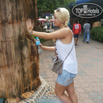 фото из отзыва ID 868873