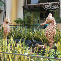 фото из отзыва ID 868897