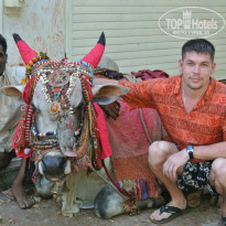 фото из отзыва ID 868946