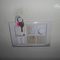 фото из отзыва ID 868971