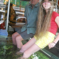 фото из отзыва ID 868329