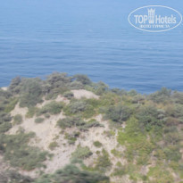 фото из отзыва ID 868100