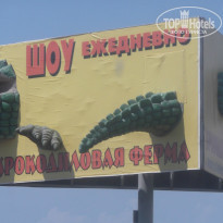 фото из отзыва ID 868100