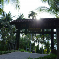 фото из отзыва ID 868033