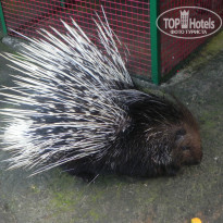 фото из отзыва ID 869015