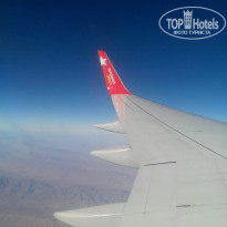 фото из отзыва ID 869015