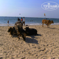 фото из отзыва ID 869015