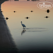 фото из отзыва ID 869187