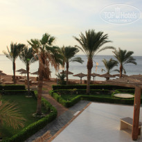 фото из отзыва ID 869187