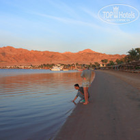 фото из отзыва ID 869187