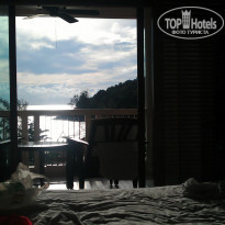 фото из отзыва ID 869588