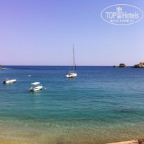 фото из отзыва ID 869499