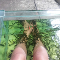 фото из отзыва ID 869294