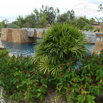 фото из отзыва ID 869260