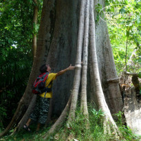 фото из отзыва ID 870030