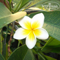 фото из отзыва ID 870076