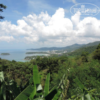 фото из отзыва ID 870079