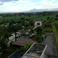 фото из отзыва ID 870087