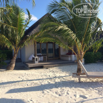 фото из отзыва ID 870090