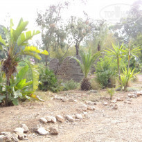 фото из отзыва ID 870101