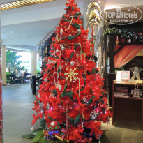 фото из отзыва ID 870172