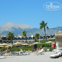 фото из отзыва ID 870216