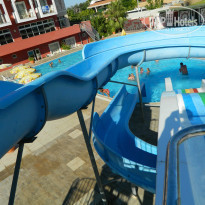 фото из отзыва ID 870216