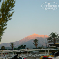 фото из отзыва ID 870216