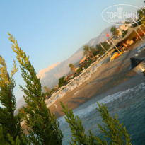 фото из отзыва ID 870216