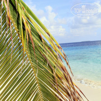 фото из отзыва ID 870400