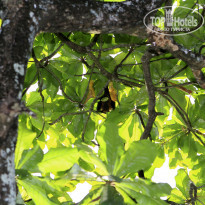 фото из отзыва ID 870400