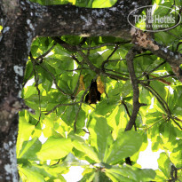 фото из отзыва ID 870400