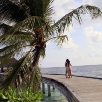 фото из отзыва ID 870400