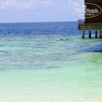 фото из отзыва ID 870400