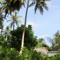 фото из отзыва ID 870381