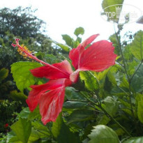 фото из отзыва ID 870464