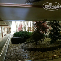 фото из отзыва ID 870508