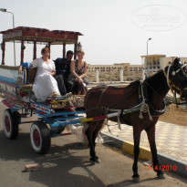 фото из отзыва ID 870569