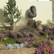 фото из отзыва ID 870569