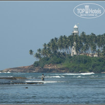 фото из отзыва ID 870658