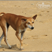 фото из отзыва ID 870658