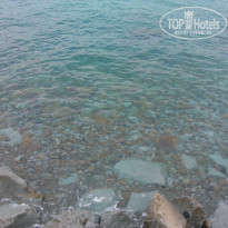 фото из отзыва ID 870769