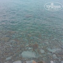 фото из отзыва ID 870769