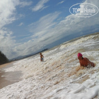 фото из отзыва ID 870814