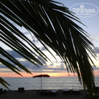 фото из отзыва ID 870814