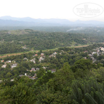 фото из отзыва ID 870817