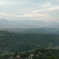 фото из отзыва ID 870817