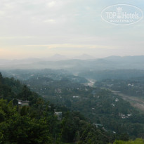 фото из отзыва ID 870817